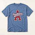 Alba-Golden Panthers Varsity Spirit Tee in Washed Denim, Comfort Colors C1717 flat lay